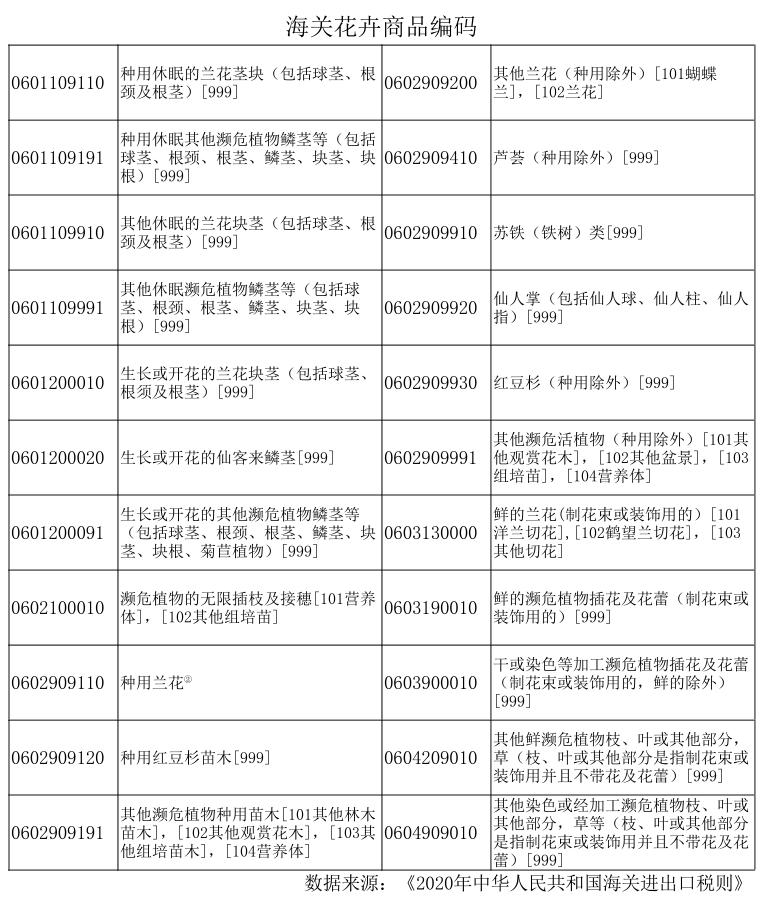 一文读懂|花卉出口指南(超全)