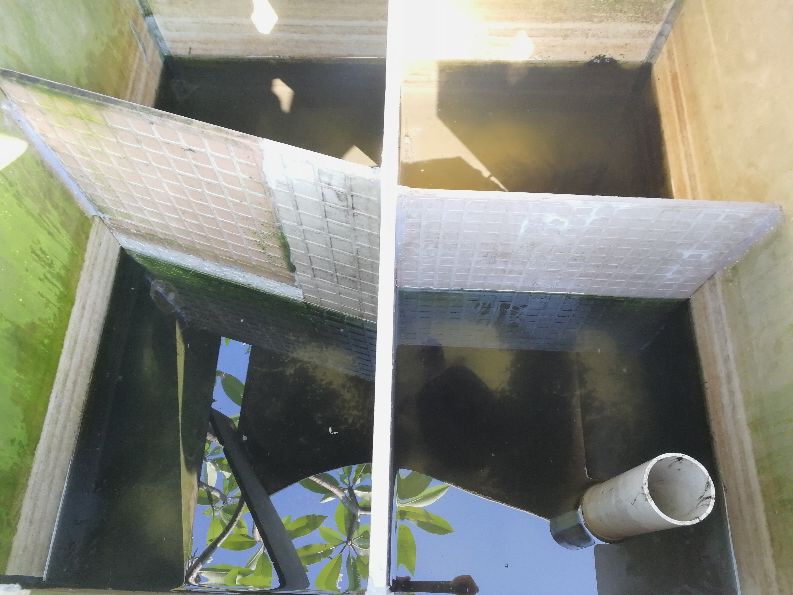 养龟人心路历程,养龟人的心路历程