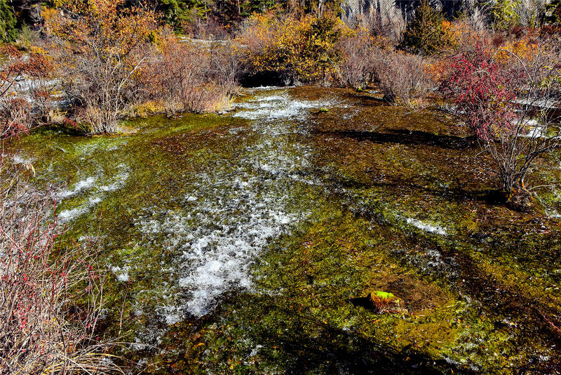 置身于童话中的九寨沟,畅游人间仙境黄龙九寨沟七日游