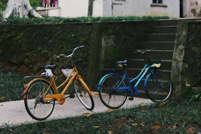 明玉奖品,苏大强跟明玉的事