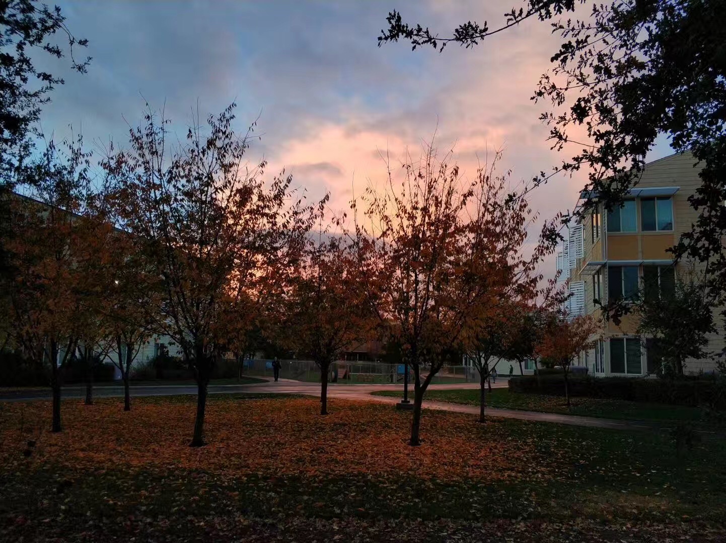 弗吉尼亚大学是一所怎样的大学？