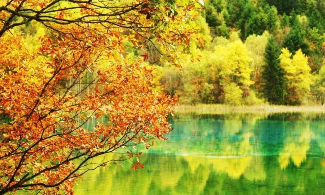 中国地理知识大全及讲解合集,一口气读懂中国地理