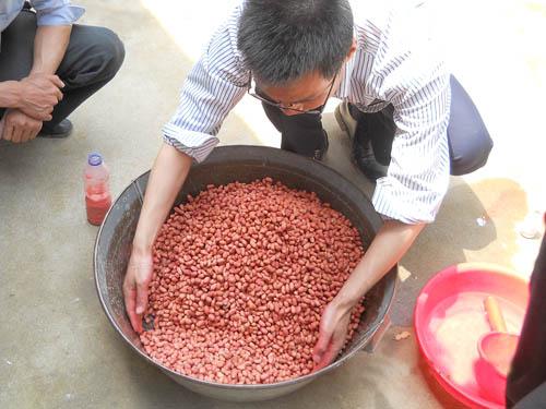 拌种剂总有效成分低好吗,拌种剂出了问题怎么处理