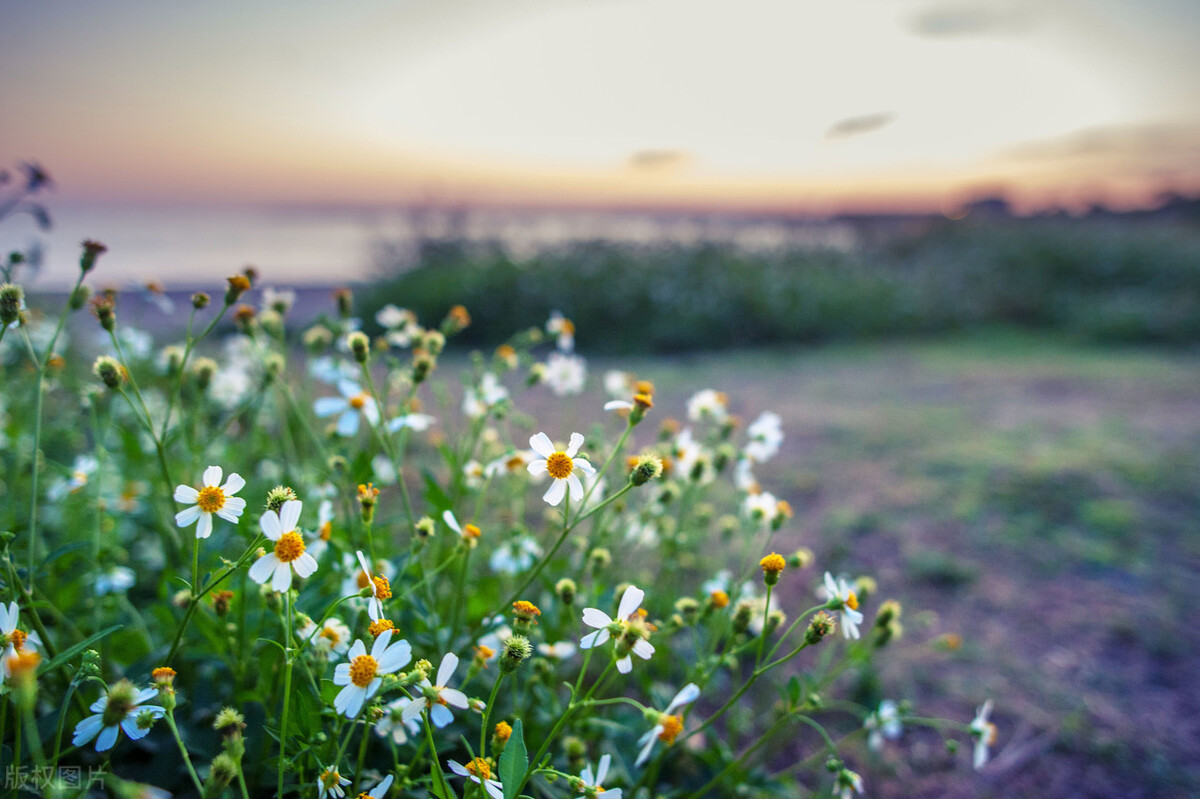 海角七号一口气看完,海角七号最浪漫的事