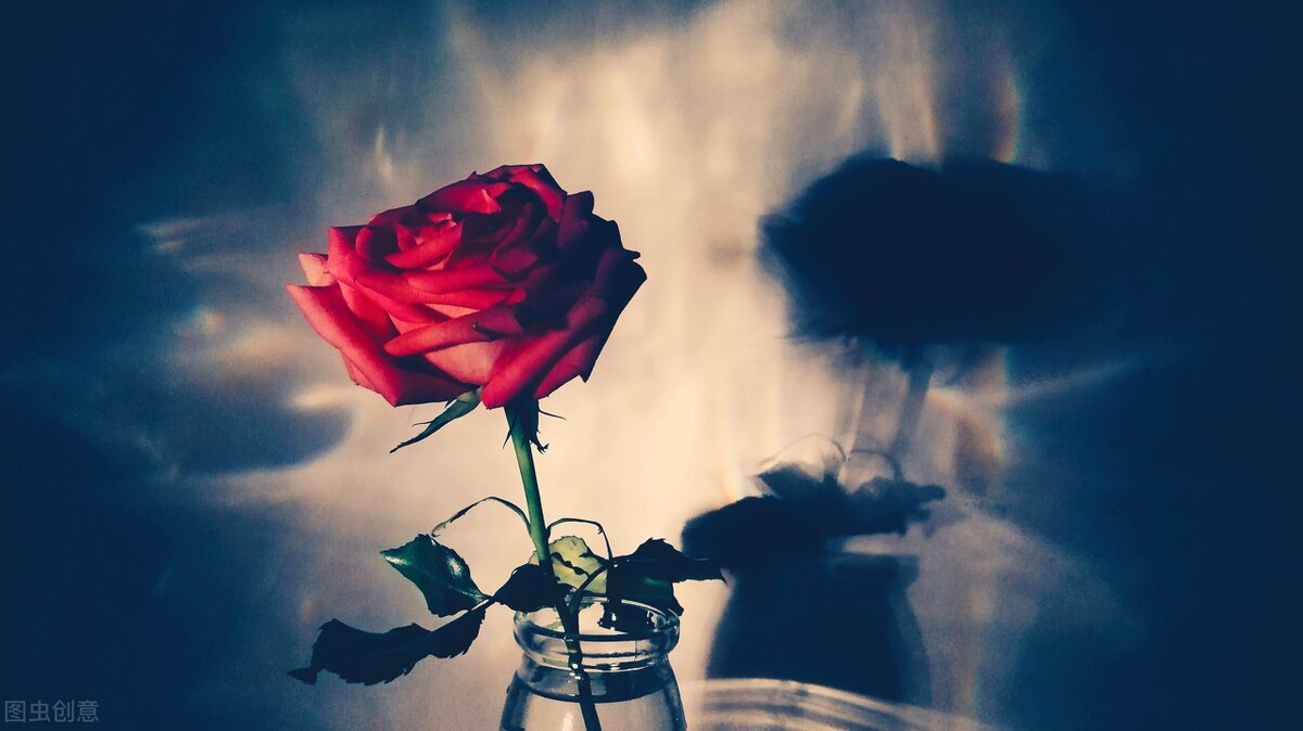 最新高质量言情文推荐,值得反复看的言情好文推荐