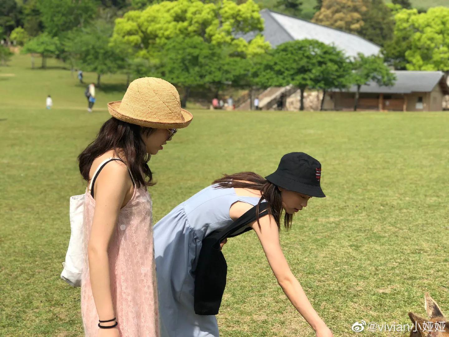 日本大阪旅游攻略最新,日本大阪旅游攻略一天多少钱