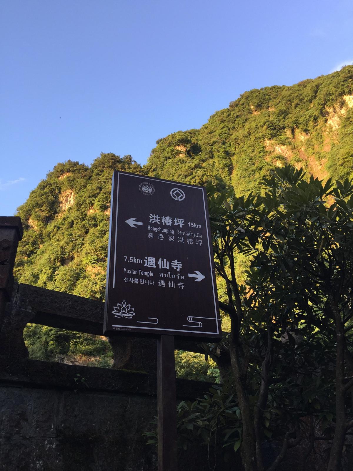 峨眉山登顶佛像,峨眉山登顶记完整版