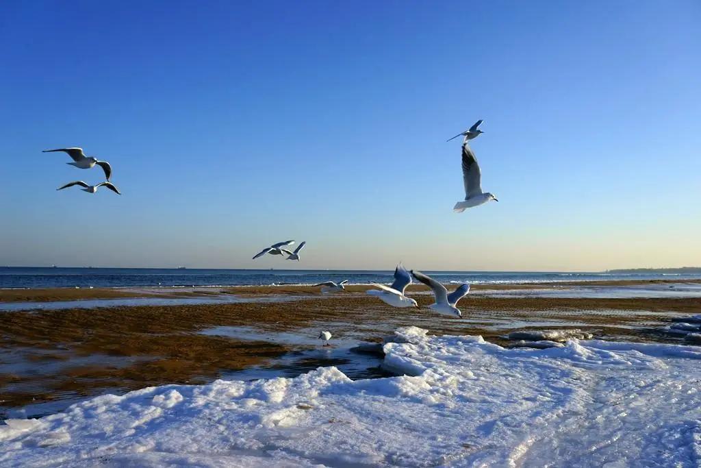 在青岛玩什么比较好,青岛该怎么玩三天两夜