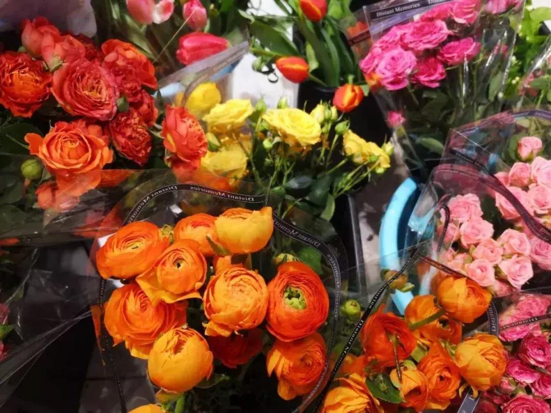 即将消失的花鸟鱼虫市场,天津消失的鱼虫市场