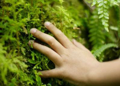 广州中医李赛美,广州岭南名医李赛美