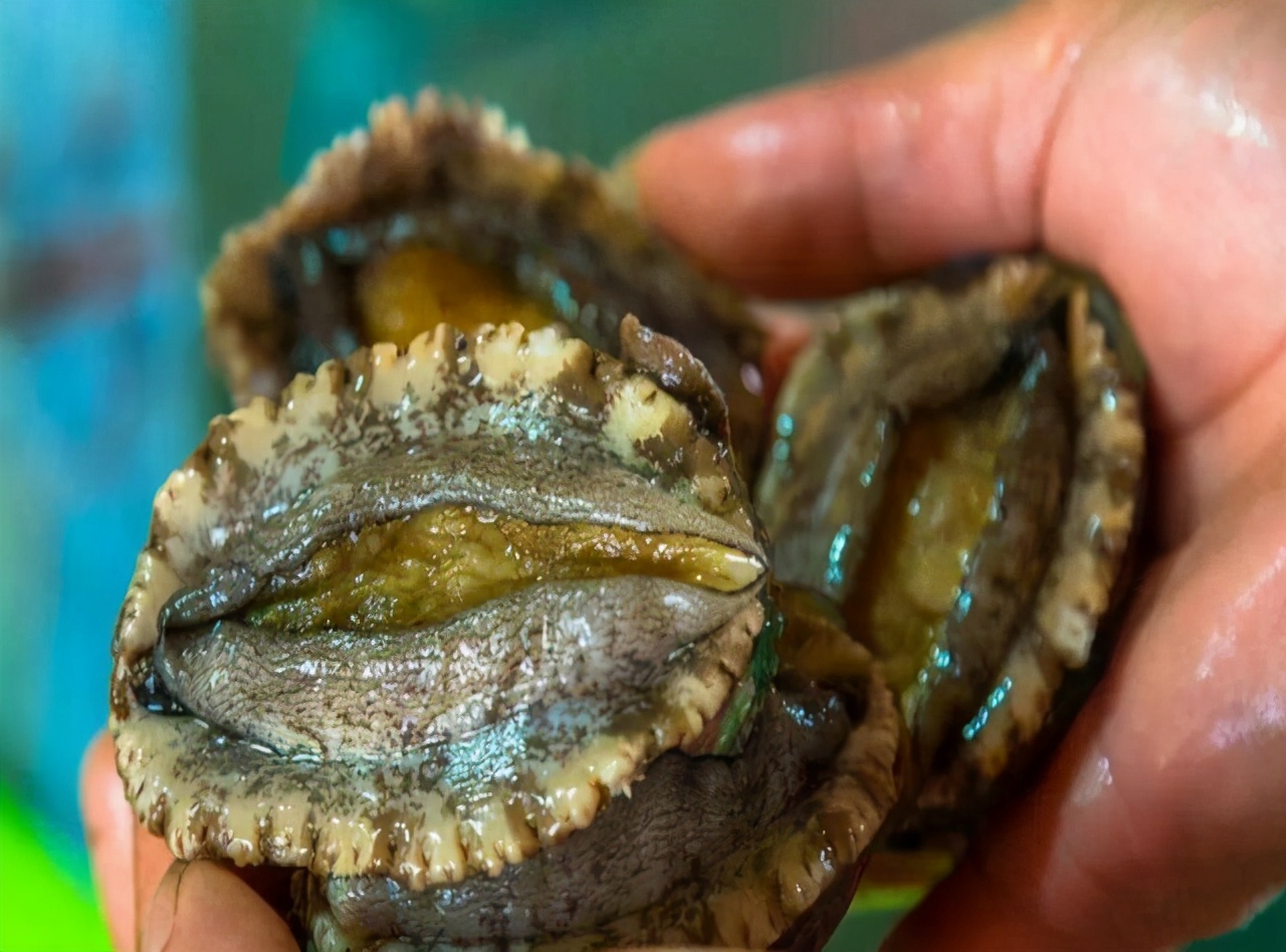 福建十大最美丽渔村,连江最美渔村