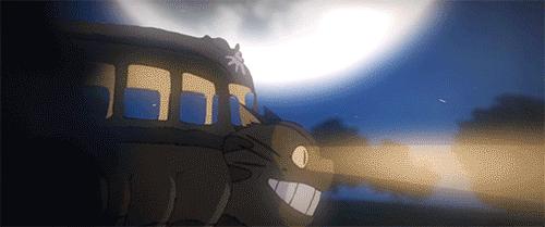 宫崎骏老爷爷笔下经典形象龙猫的原型居然是个鸟,WTF+问号脸