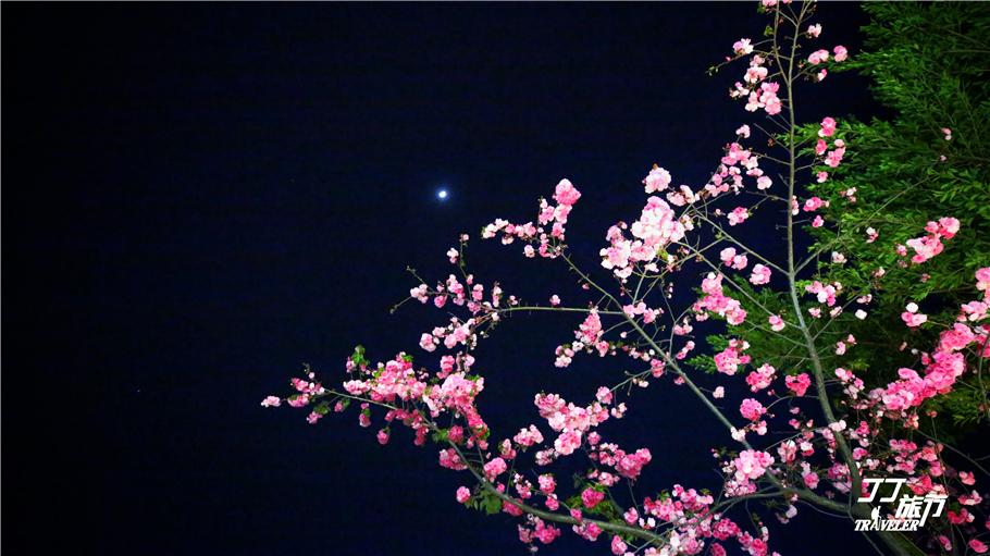 大理是不是一个纯旅游城市,大理的优点