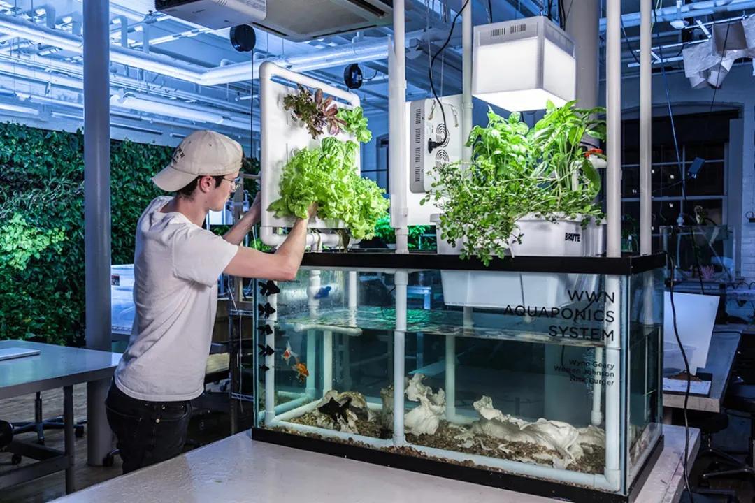 薪资待遇高且好就业的专业,高薪稳定和低薪前景不错的行业