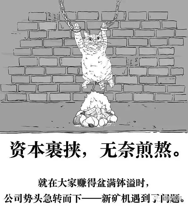 烤猫之死——币圈传奇的陨落