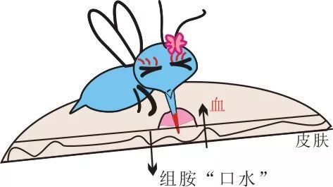 秋蚊更毒,看小红书妈妈如何选择防蚊液?