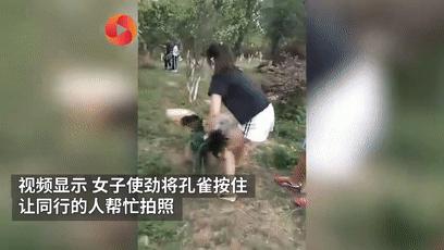 癞蛤蟆想吃到天鹅肉你不配的图片,癞蛤蟆想吃天鹅肉你同意吗