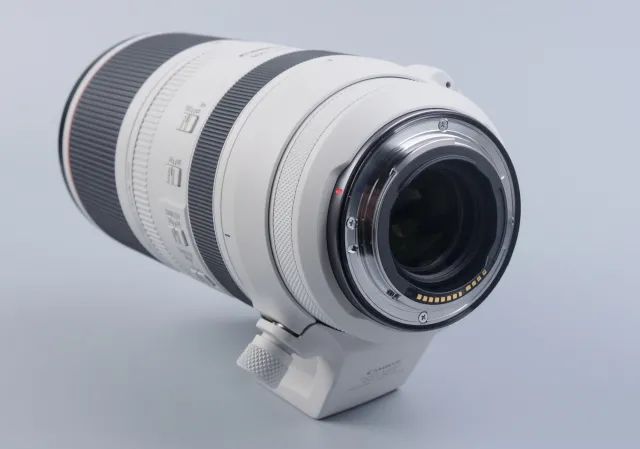 佳能rf100-500mm镜头拍鸟,佳能长焦相机100倍