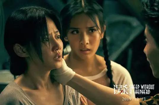 必看的电影推荐2019豆瓣高分,经典电影推荐2019豆瓣高分