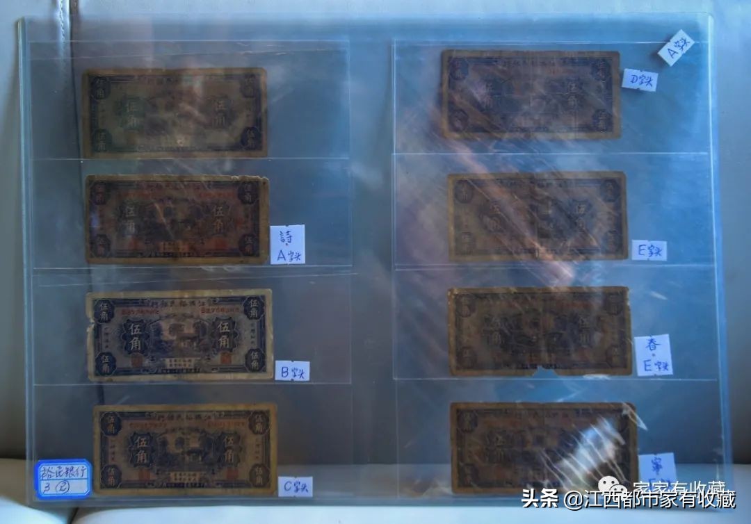 斗宝大赛决赛,斗宝大赛2019夺冠