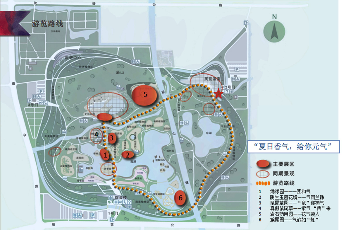 辰山植物园迎春花展,辰山植物园荷花展时间