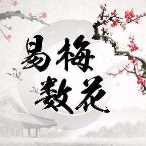 梅花易数的易数指的是什么,梅花易数心易阐微