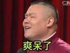 岳云鹏与助理搞笑聊天记录,岳云鹏助理收入