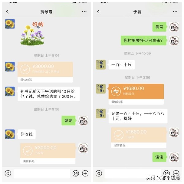 邹平疫情孙镇村书记 (一名村党支部书记的抗疫路)