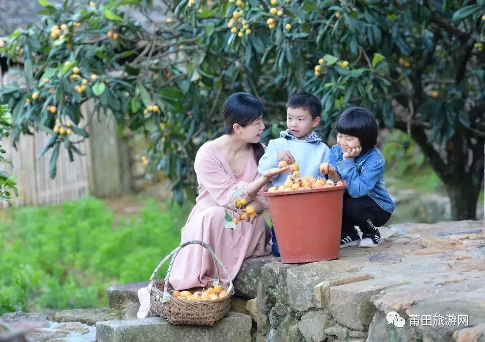 福建莆田哪个季节最美,福建莆田有多美