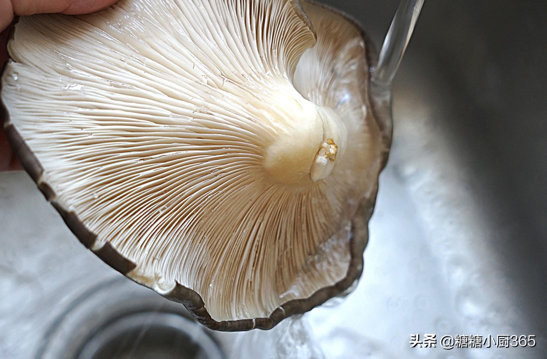 平菇炖豆腐正宗做法,平菇和豆腐汤