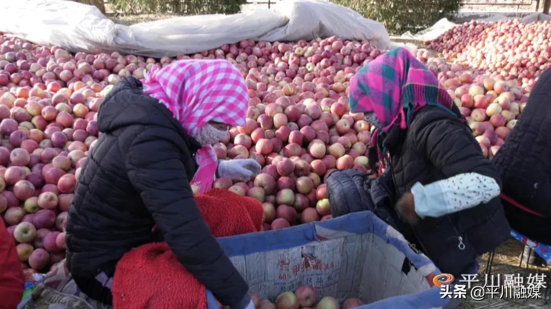 平川苹果手机专卖店,平川苹果店