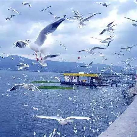 每个人的旅行清单，都有个云南，或迟或早，我们都将到达那方天地