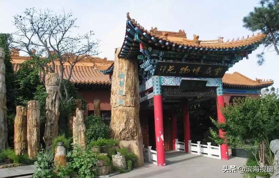 天津各式各样的博物馆视频,天津博物馆和海洋博物馆哪个好玩