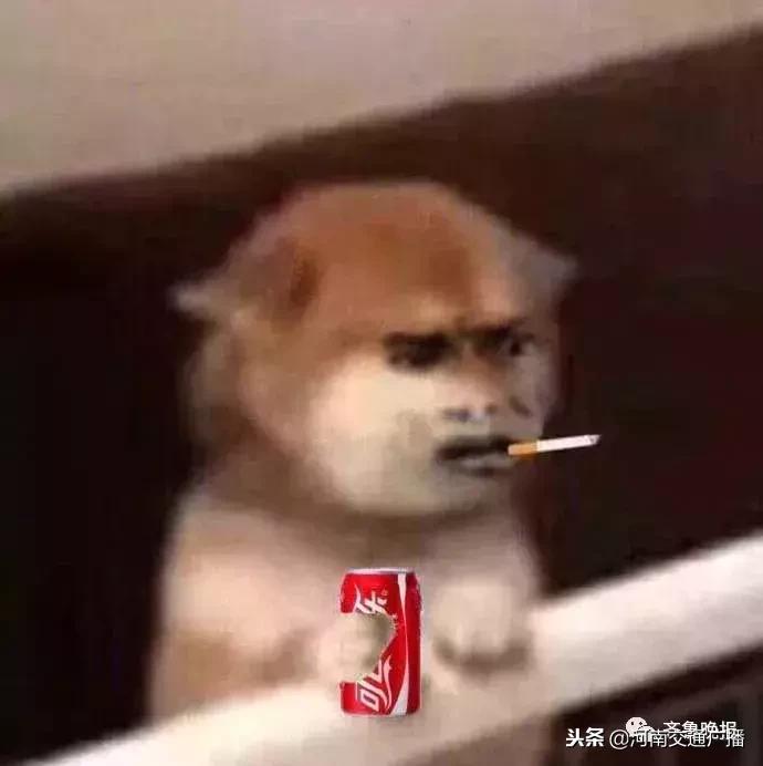 代购税务处罚标准,代购300万被判几年