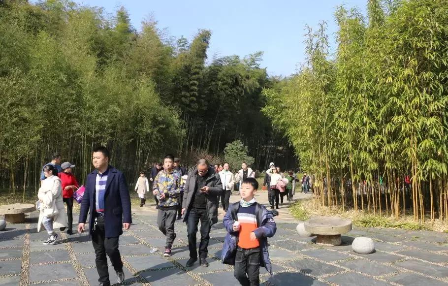 今天，我在宜兴竹海，过传统春节，沾福气满满！