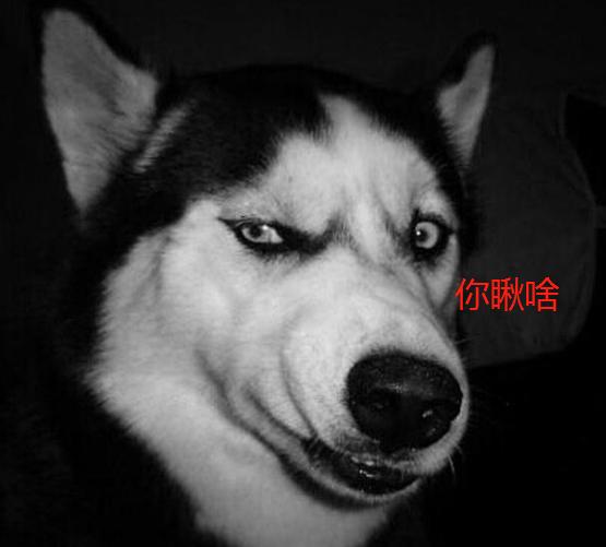 拆二代该有的样子,拆二代二哈