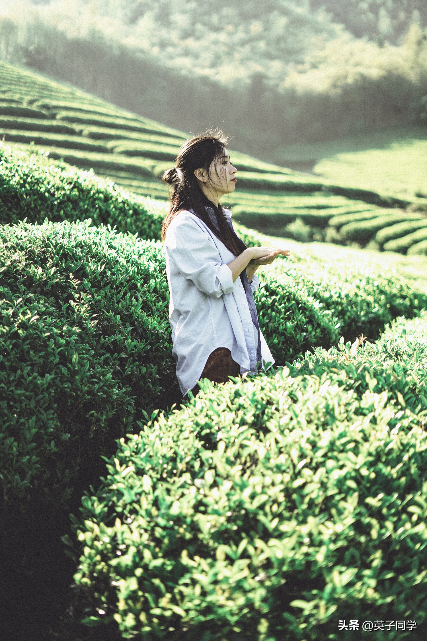 青春旅社拍摄地址,周冬雨民宿图片