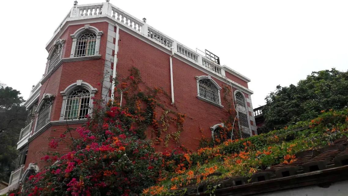 去厦门鼓浪屿游记攻略,鼓浪屿初二游记作文