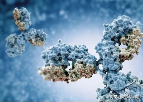 首个中国纳米抗体药物,中国抗体药的最新消息
