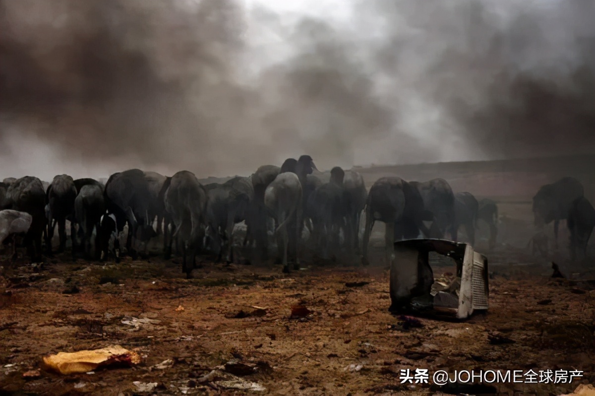 鍦ㄦ境娲茶喘涔癷phone,婢虫床璐拱iphone