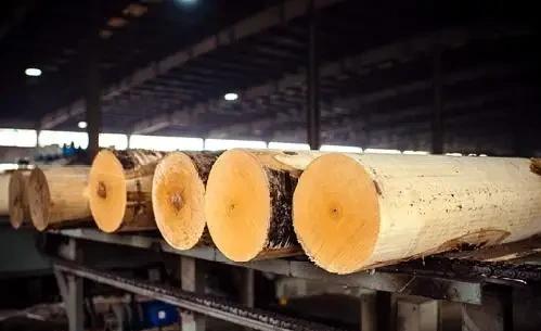 厨房柜子用颗粒板好还是生态板好,颗粒板和生态板哪个做柜子比较好