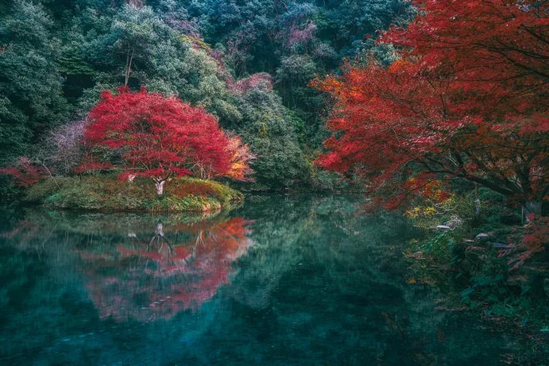 杭州最佳赏秋路线推荐,杭州附近赏秋的地方