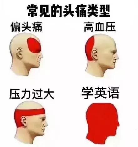 自考英文写作技巧和方法,自考学姐分享经验