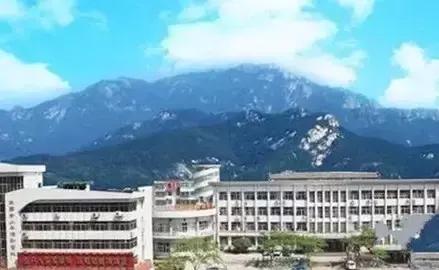 安泰小学视频,安泰小学简介