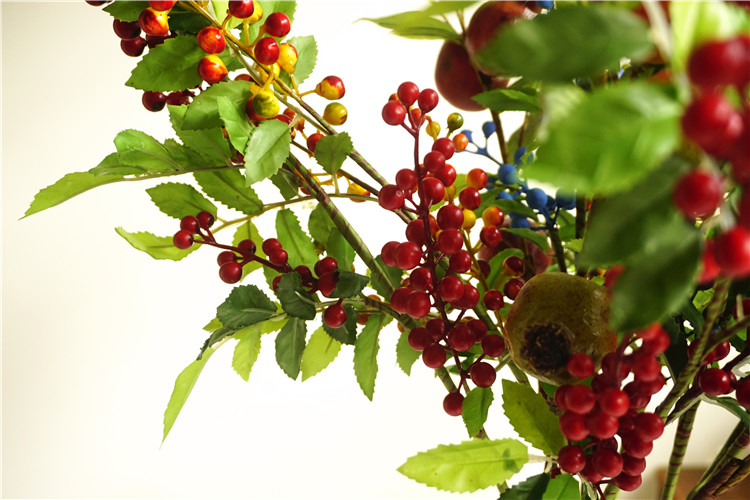 养猫咪不能养的植物,养猫咪的5大隐形危害