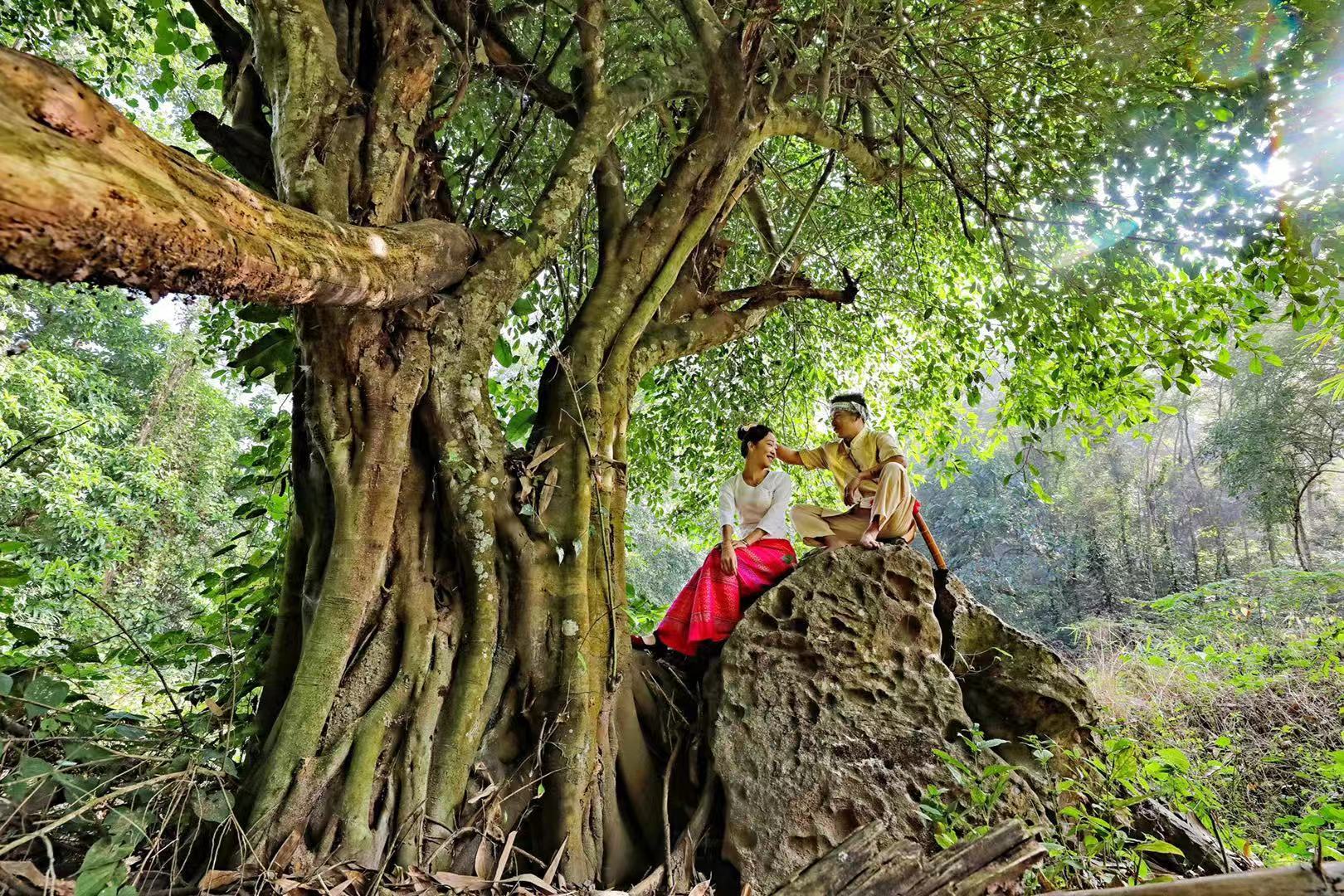 热带雨林犯罪,热带雨林案件最新结果