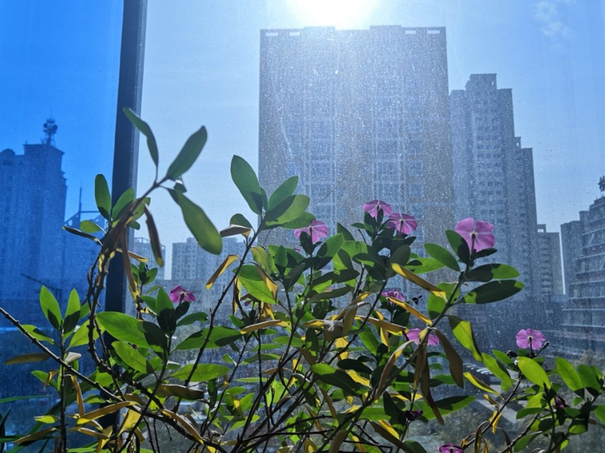 头晕眩晕症怎么回事,头晕眩晕科