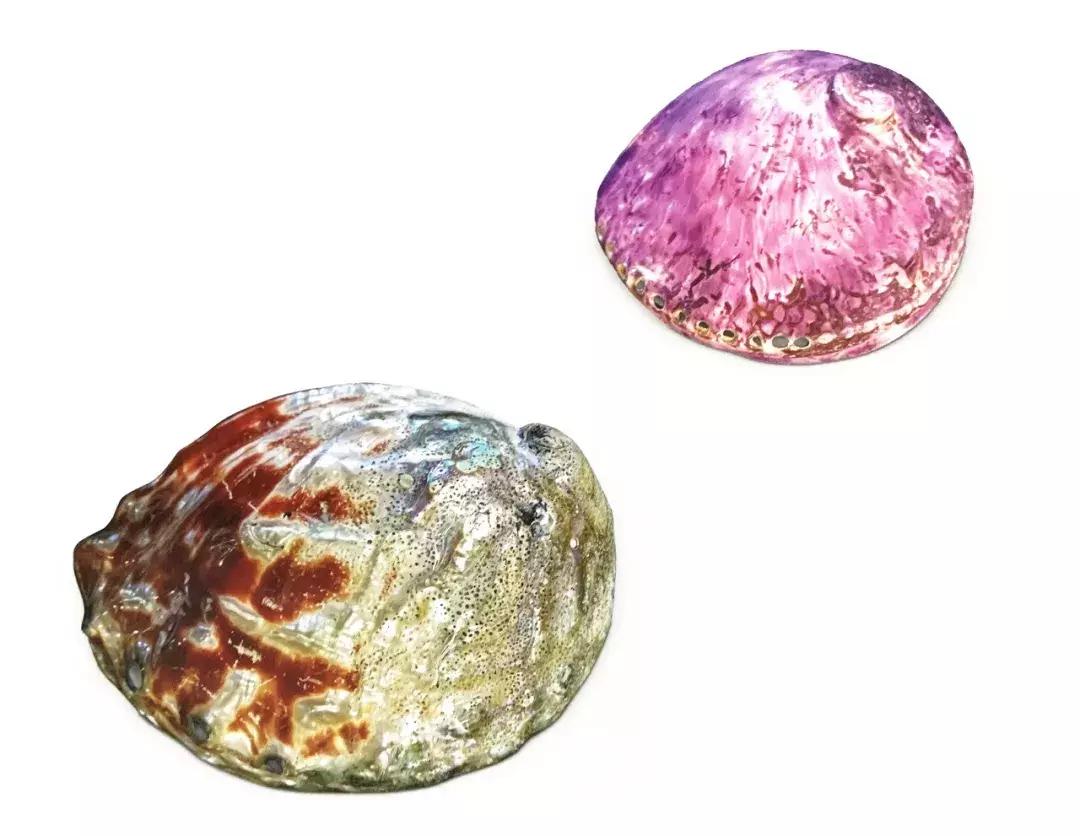 螺钿工艺古家具,螺钿工艺在清代家具中的装饰艺术