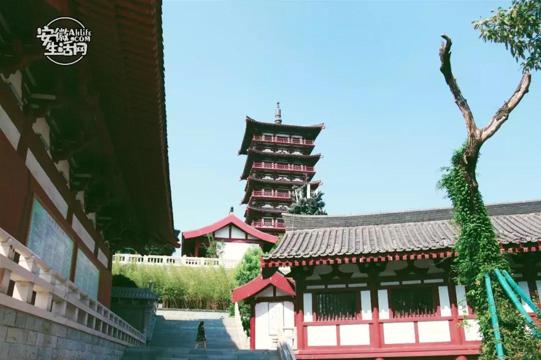 合肥一日游景点有哪些好玩的,合肥一日游最佳景点攻略