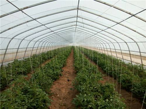 温室大棚建造有没有标准,常见的温室大棚有哪些类型